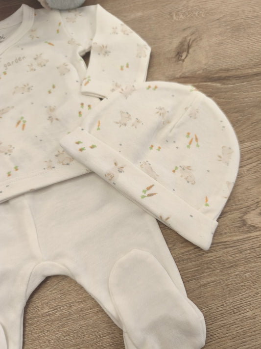Conjunto Primera puesta zanahoria
