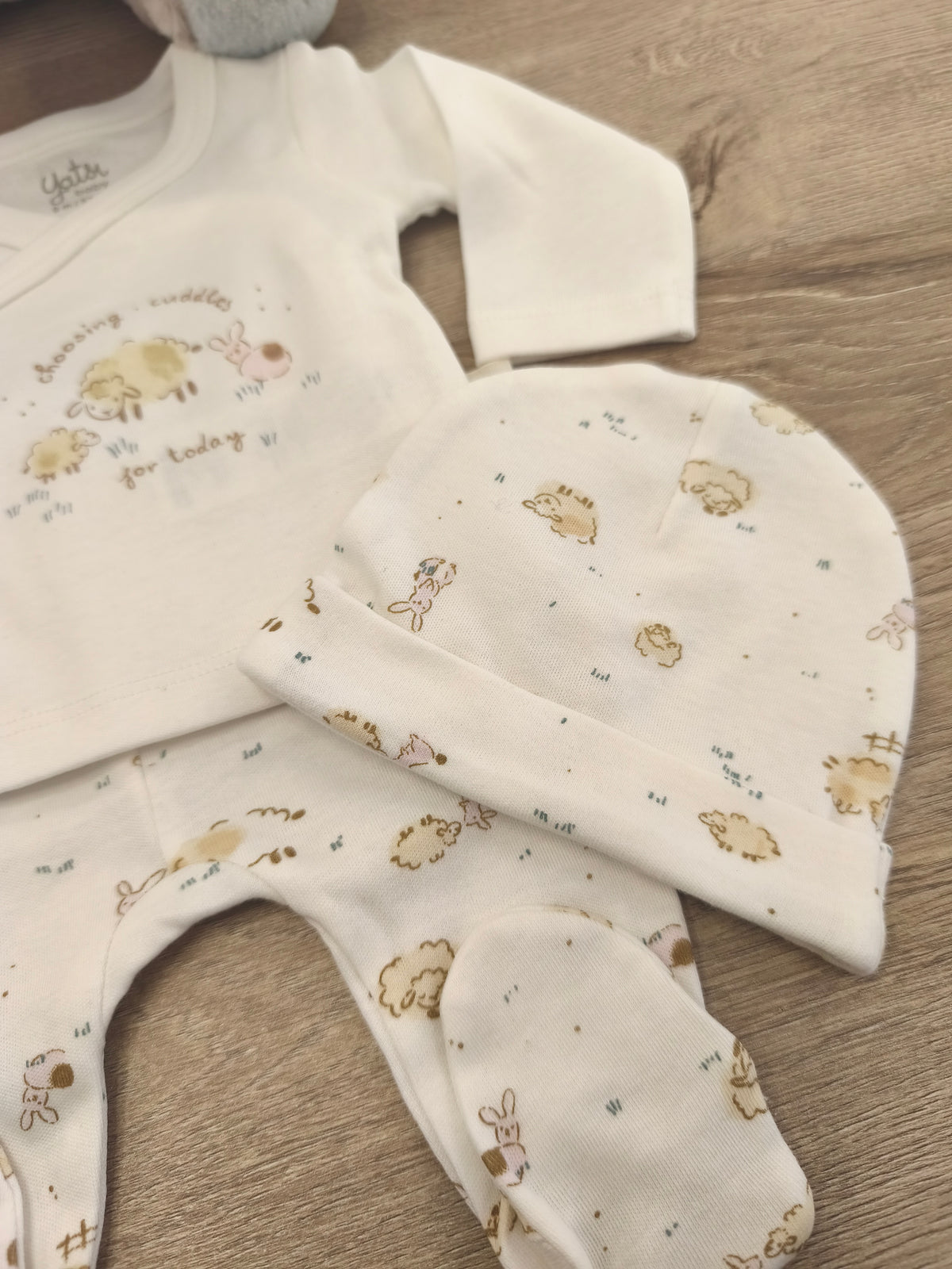 Conjunto Primera puesta ovejita