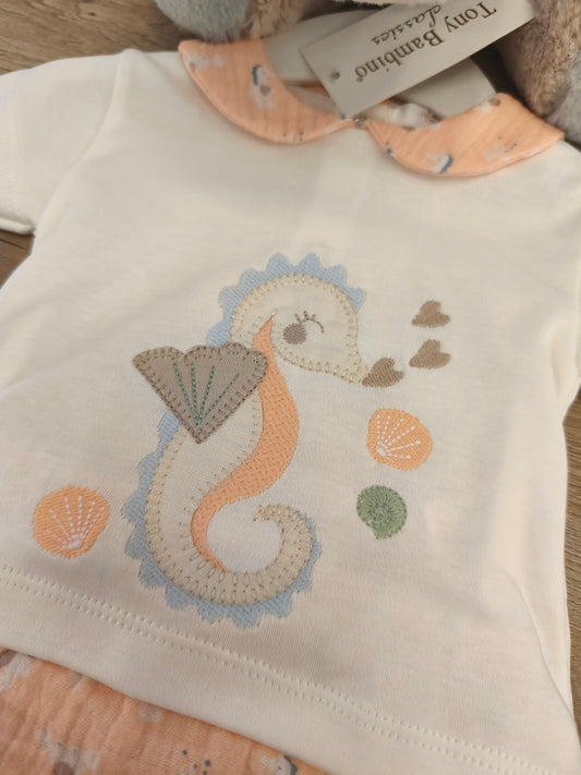 Conjunto caballito de mar