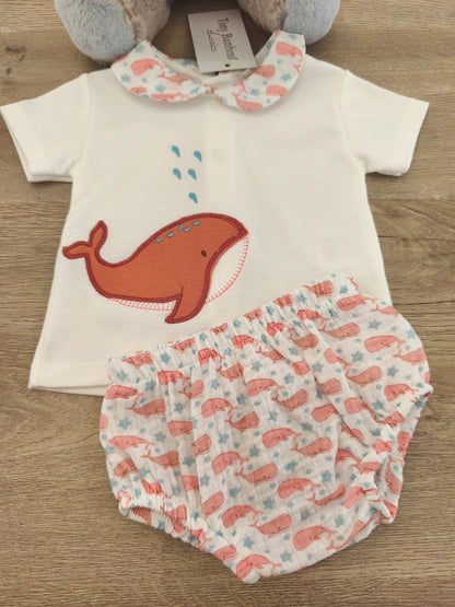 Conjunto ballena