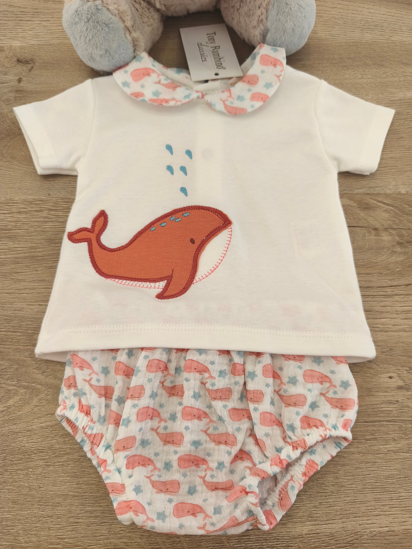 Conjunto ballena