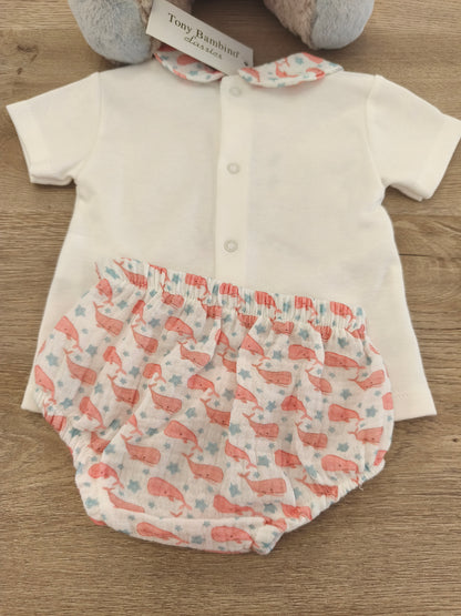 Conjunto ballena
