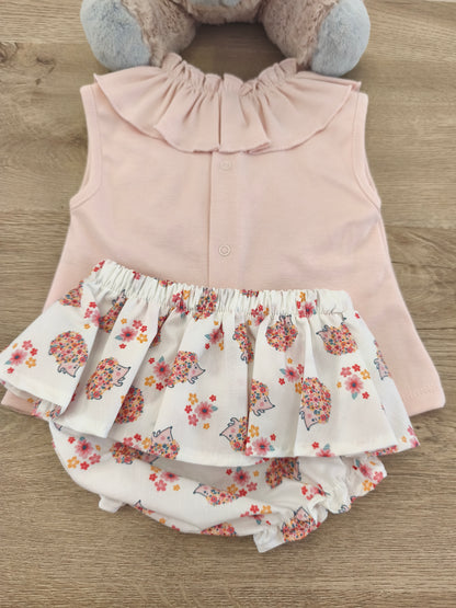 Conjunto erizo