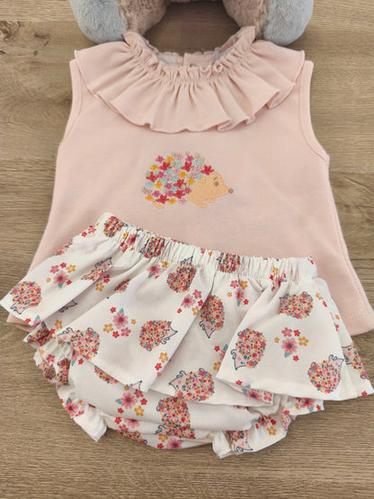 Conjunto erizo