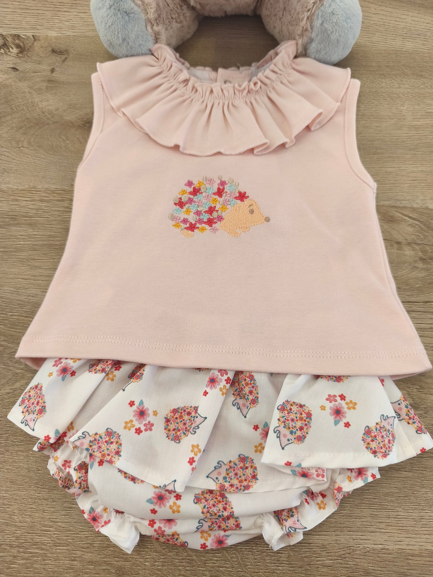 Conjunto erizo