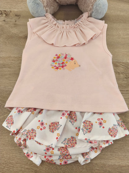 Conjunto erizo