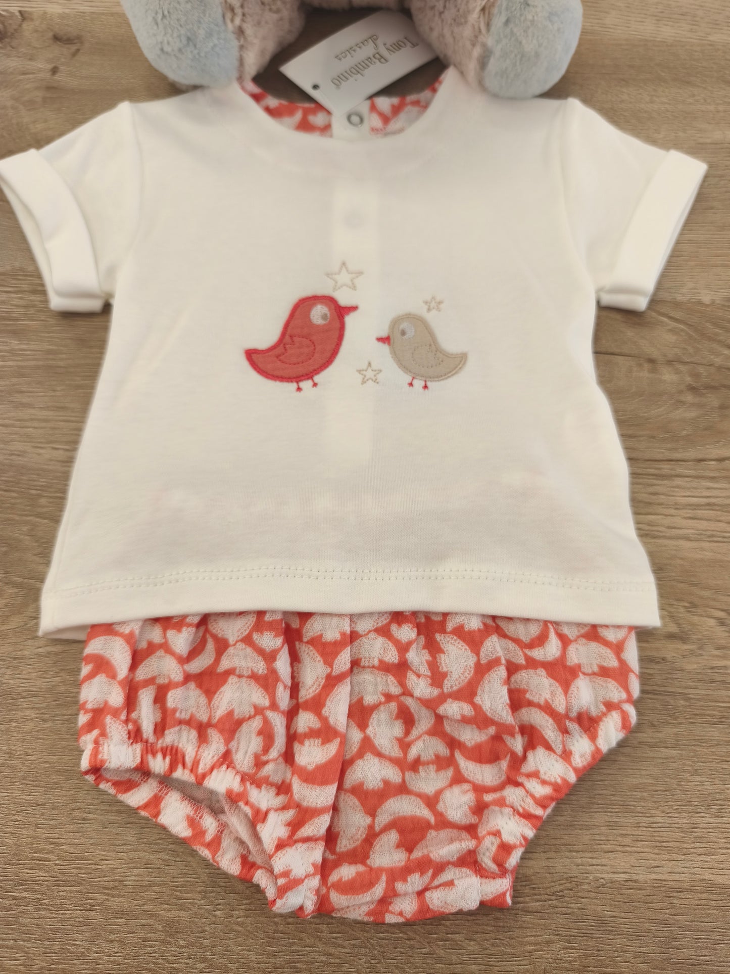 Conjunto pajaritos niño