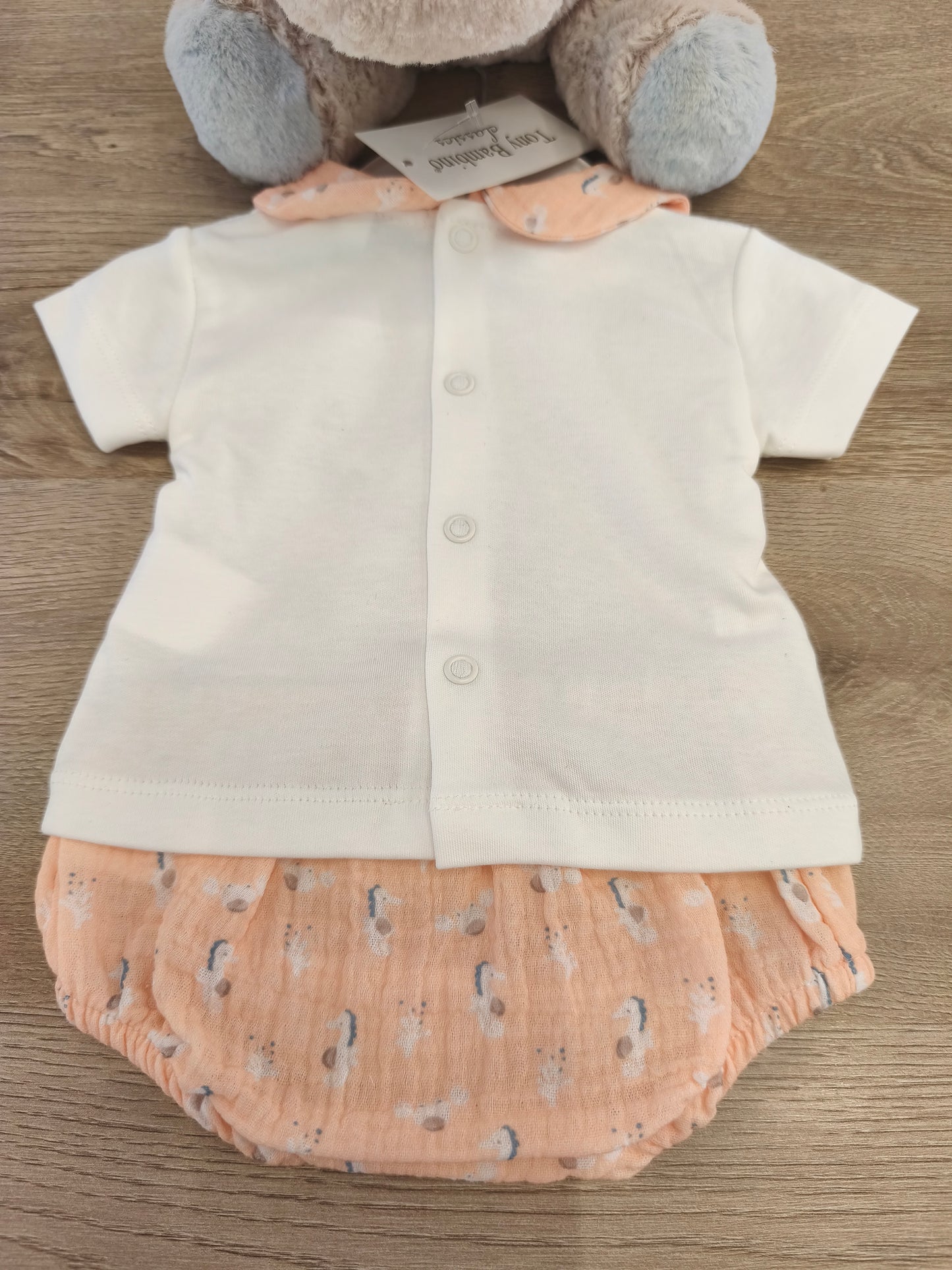 Conjunto caballito de mar